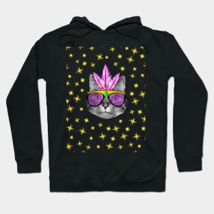 Mardi Gras Cat Hoodie